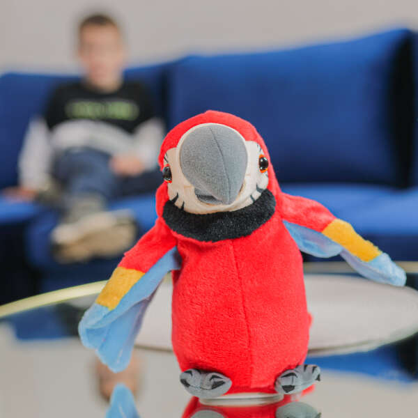 A talking parrot is a talking toy - Parroty - AI WEB SHOP