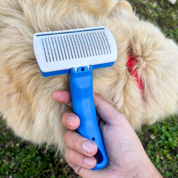 Pet brush - Softy Max - AI WEB SHOP