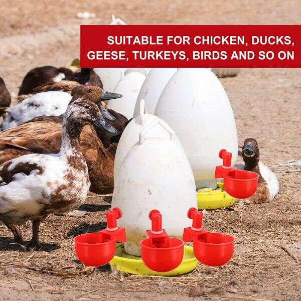 Set for automatic water provision for poultry - PoulCups - AI WEB SHOP