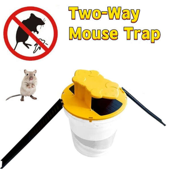 Mouse trap - Trapero - AI WEB SHOP