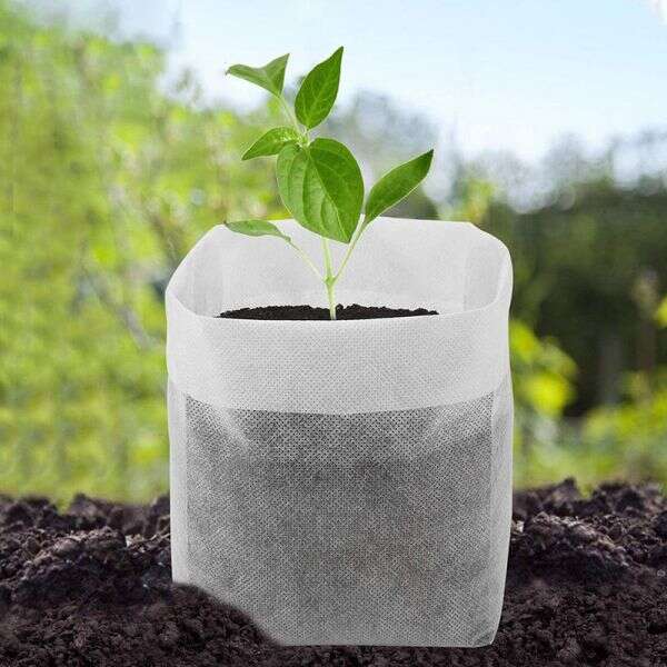 Nursery plants bags - Lookgrow - AI WEB SHOP